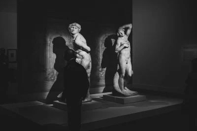 Jean Baptiste D., Louvre Museum, 2020. Müze ziyaretçisi tabloyu inceliyor.